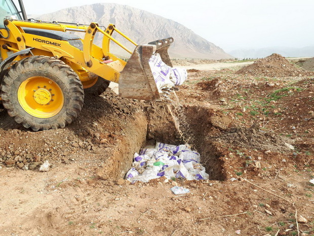 لاشه های مرغ رها شده در حاشیه رودخانه گاماسیاب دفن شد