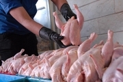 مصرف گوشت مرغ ۳۰ درصد کاهش یافت
