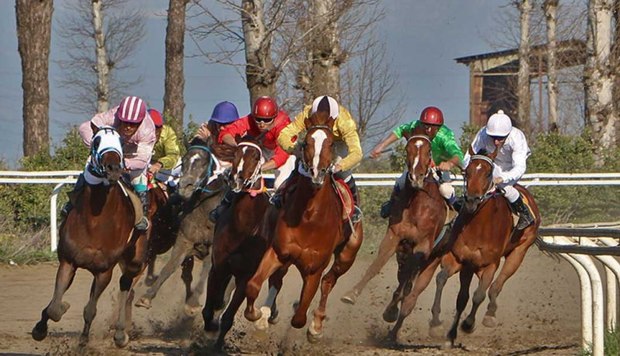 62 راس اسب در هفته نوزدهم مسابقات اسبدوانی گنبد رقابت کردند
