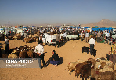 گوشت قربانی را تا 24 ساعت در یخچال نگه‌ دارید