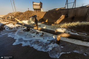 شوق شیرین تولید شکر / کارگران تولید قند و شکر