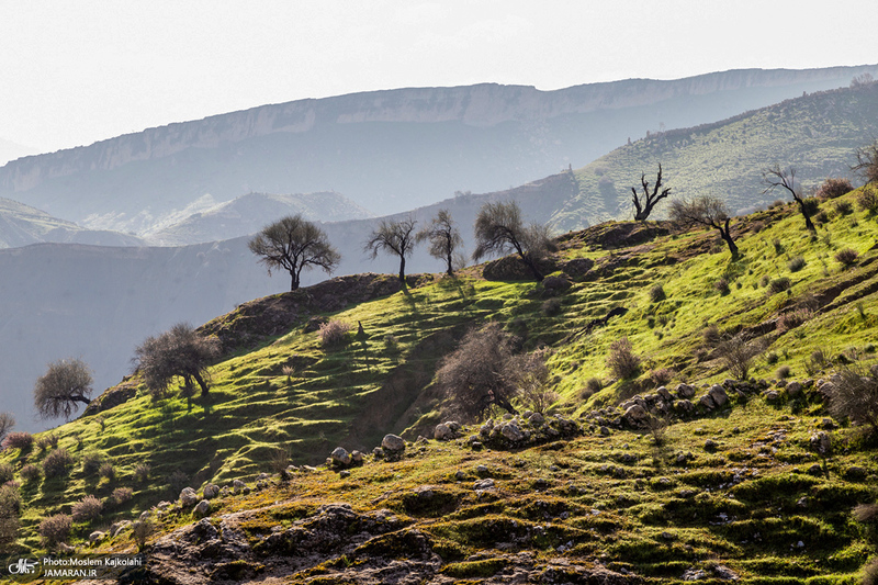 طبیعت بکر و زیبای«کفشکنان»