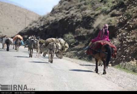 آغاز کوچ پاییزه عشایر از همدان