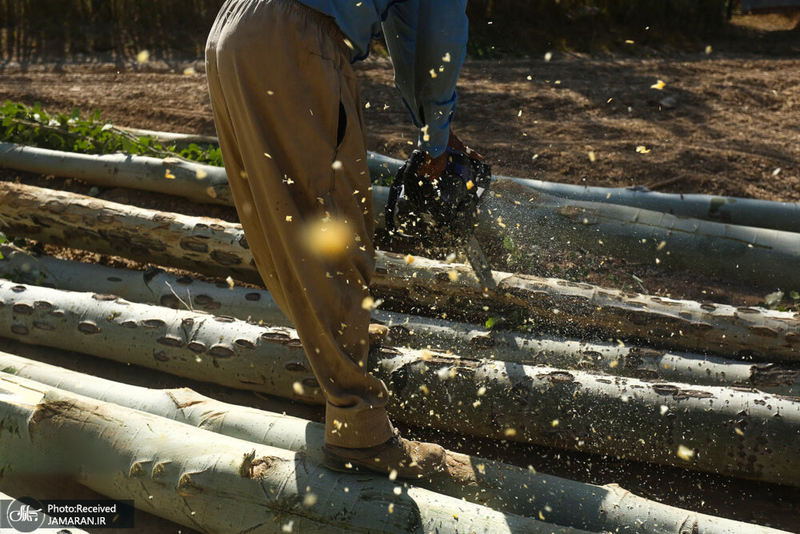 منتخب تصاویر امروز جهان- 28 تیر 1400