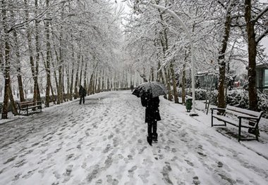 برف و باران کرمانشاه را در برمی گیرد