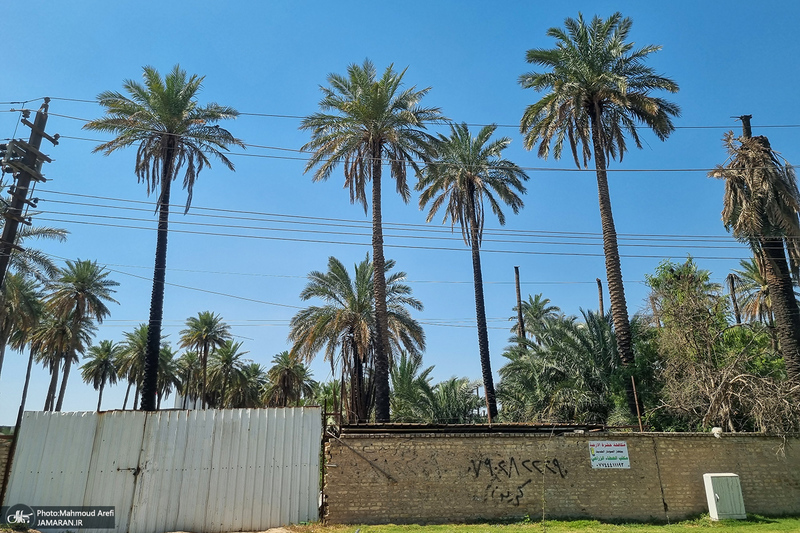 سفر به بغداد