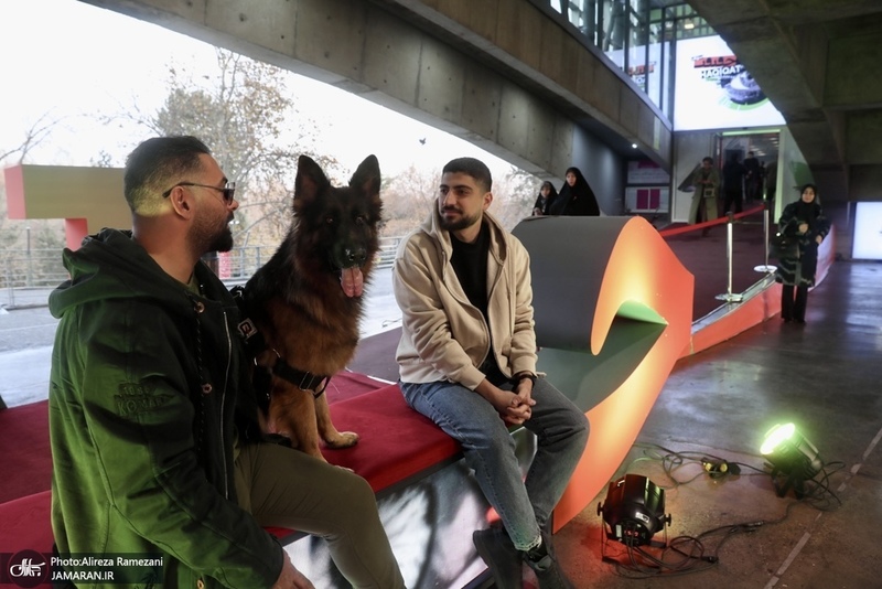 نوردهمین جشنواره سینما حقیقت-2