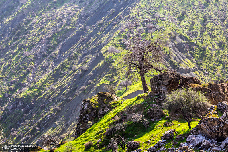 طبیعت بکر و زیبای«کفشکنان»