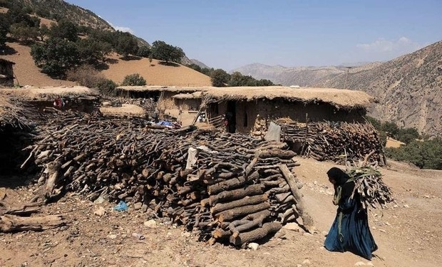 قطع درختان درکهگیلویه وبویراحمد و حکایت زنان هیزم به دوش