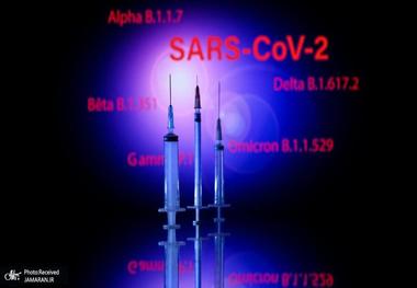 میزان ابتلا به کرونا «امیکرون» در ایران همچنان افزایشی است/ شرایط تا دو سه هفته آینده شکننده است/ برخی بیماران پشیمانند که چرا واکسن تزریق نکردند