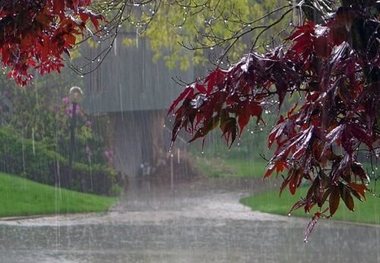 میزان بارندگی در بیجار 24 درصد کاهش یافته است