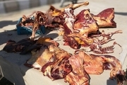 کشف 450 کیلوگرم گوشت الاغ از یک قصابی در چنارشاهیجان کازرون