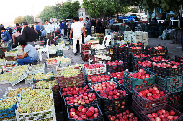 سیب باغداران مشگین‌شهر روی دست باغداران