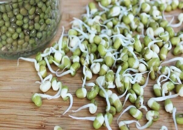 دانه ای کوچک سرشار از ویتامین و پروتئین
