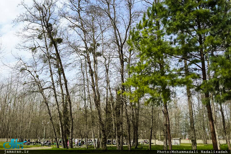 یادی از درگذشتکان در آغازین روزهای سال نو / گورستانی در مسیر انزلی به ماسال