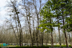 یادی از درگذشتکان در آغازین روزهای سال نو / گورستانی در مسیر انزلی به ماسال