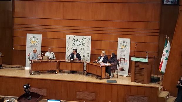 هنوز به نقطه بی‌بازگشت نرسیده‌ایم/ سایه اقتصاد سیاسی بر سر تصمیمات آبی/بحران مدیریت آب داریم