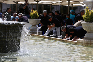 ظهر شهادت امام رضا (ع)