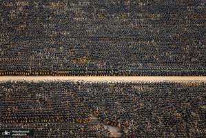 منتخب تصاویر امروز جهان- 16 دی