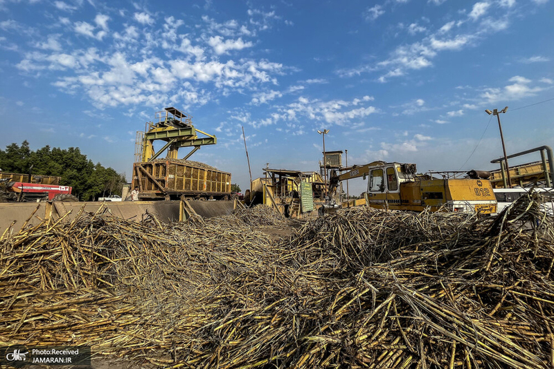 منتخب تصاویر امروز جهان - 8 آبان 1401