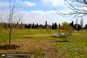 باغ گیاه شناسی ملی ایران