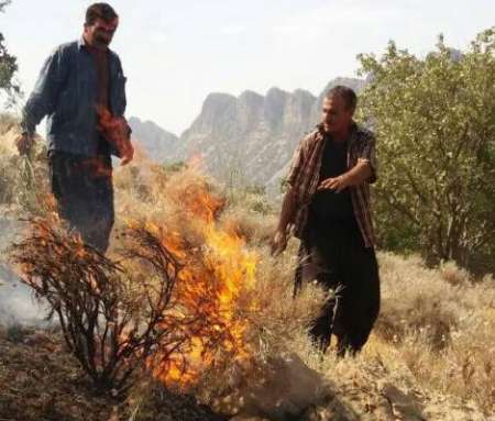 آتش بر دامان طبیعت کوهمره نودان کازرون تقاضای نیروی کمکی