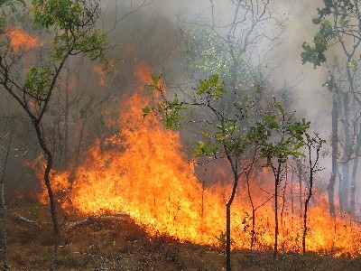 مهار آتش سوزی جنگل های بویراحمد