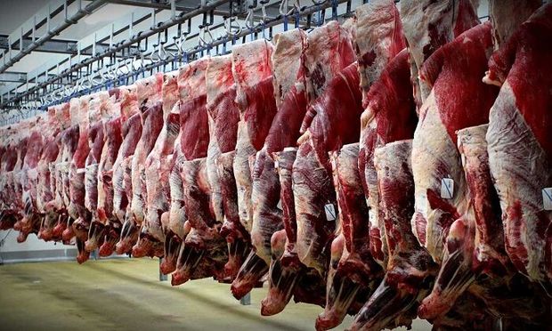 سالانه ۴۳ هزار تن گوشت قرمز در قم تولید می‌شود