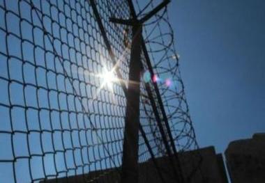 ویدا ربانی و حسین معصومی بازداشت شدند