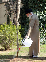 کاشت نهال در هفته منابع طبیعی توسط رهبر معظم انقلاب