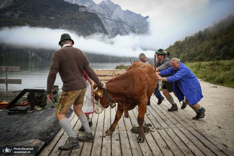 منتخب تصاویر امروز جهان- 12 مهر