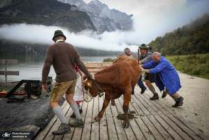 منتخب تصاویر امروز جهان- 12 مهر