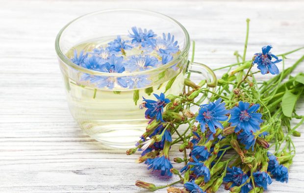 گیاهی فوق‌العاده برای پاکسازی کبد
