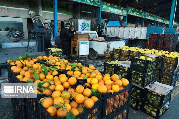 توزیع ۳۰۰ تن میوه عید در ملایر آغاز شد