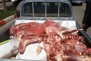500کیلوگرم گوشت فاسد در الیگودرز امحاء شد