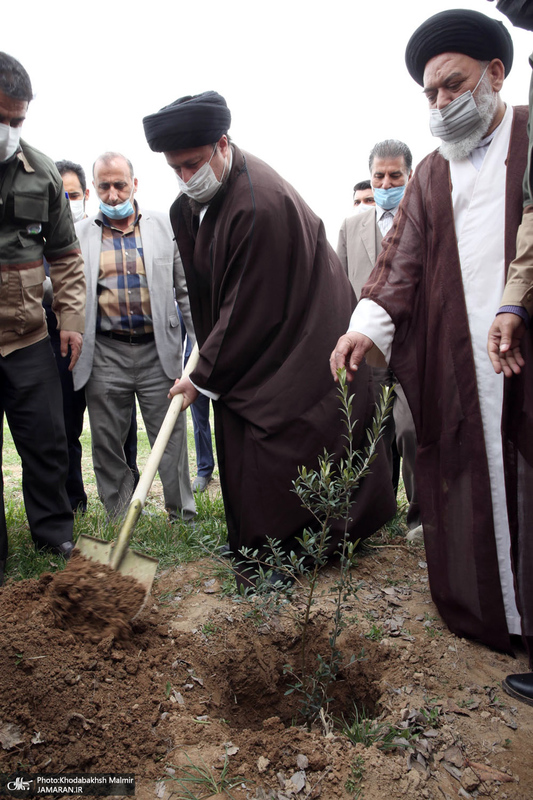 کاشت درخت به مناسبت هفته درختکاری توسط سید حسن خمینی