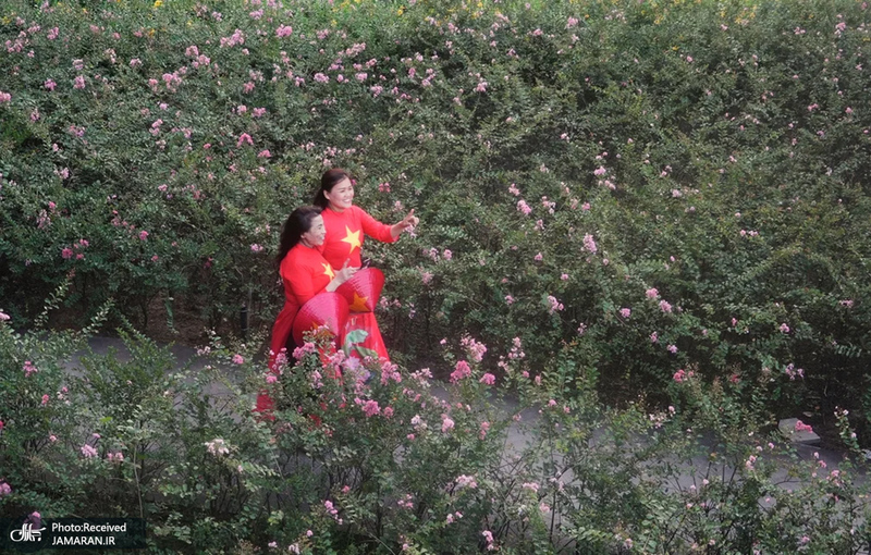 منتخب تصاویر امروز جهان