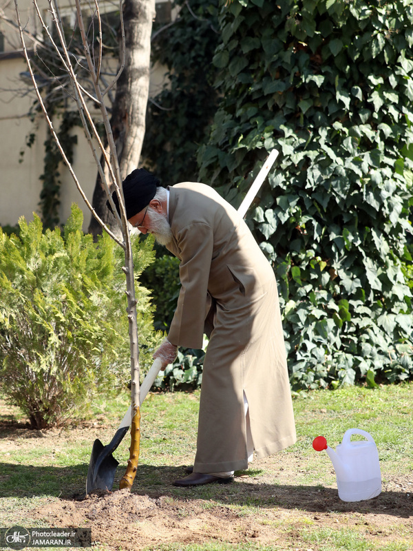 کاشت نهال در هفته منابع طبیعی توسط رهبر معظم انقلاب