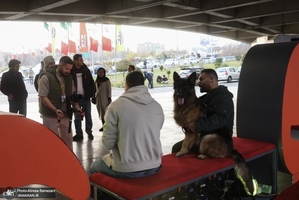 نوردهمین جشنواره سینما حقیقت-2