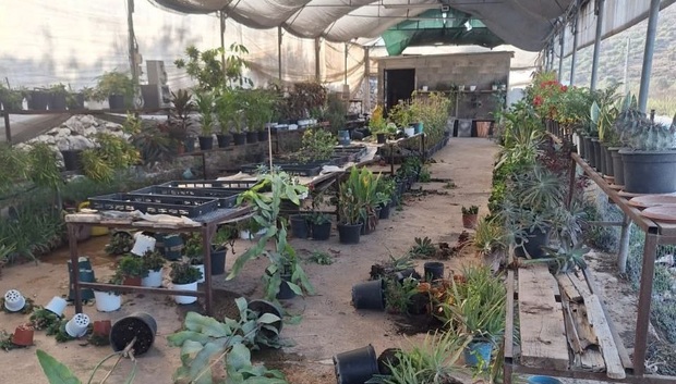 شهرک‌نشینان صهیونیست به گلخانه فلسطینی‌‌ها هم رحم نکردند + عکس ها