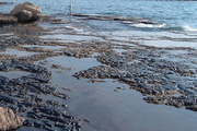 وضعیت زیست محیطی دریای خزر اسفناک است