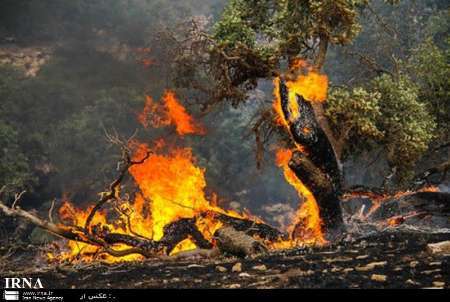 اعزام بالگرد به جنگل های شعله ور اندیمشک