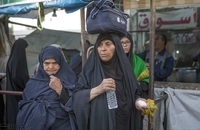 خدمات موکب های شهر نجف