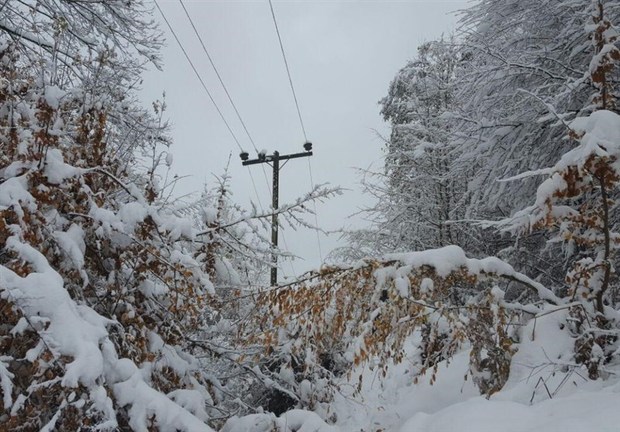 برف برق 11 روستای بجنورد را قطع کرد