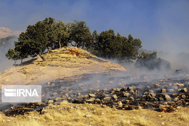 رشد ۹ برابری آتش سوزی در منابع طبیعی قزوین