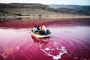 قرمزی آب دریاچه مهارلوی شیراز ناشی از جلبک بی خطر است