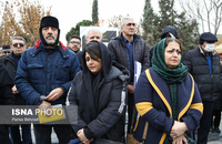 پردیس افکاری (17)