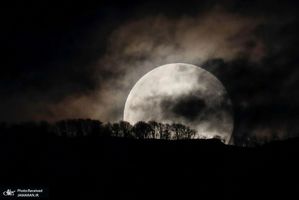 منتخب تصاویر امروز جهان- 10 بهمن