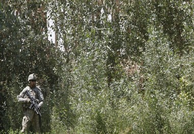 40 شرکت خارجی در عراق متهم به جاسوسی شدند