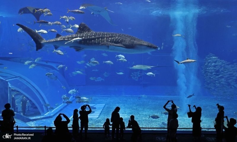 منتخب تصاویر امروز جهان - 10 آبان 1401